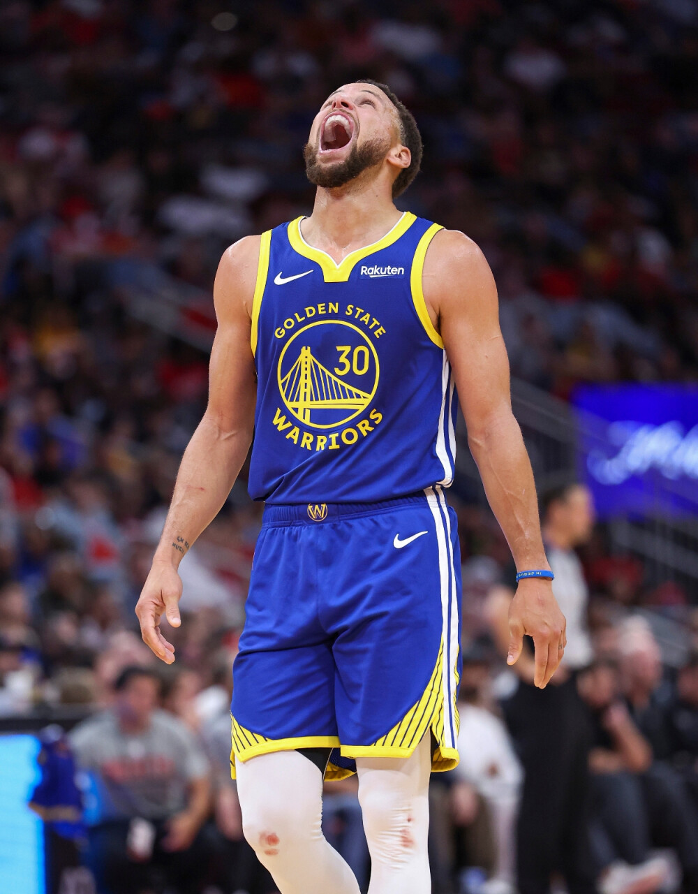 具观赏性 具观赏性